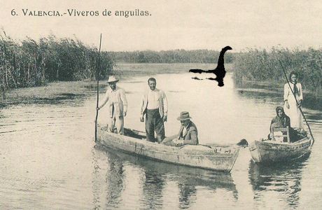 La albufera de Valencia Foto del monstruo de la albufera de Valencia