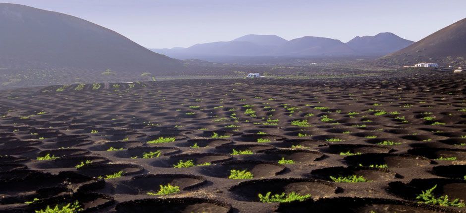 8 días en Lanzarote La Geria ruta por Lanzarote